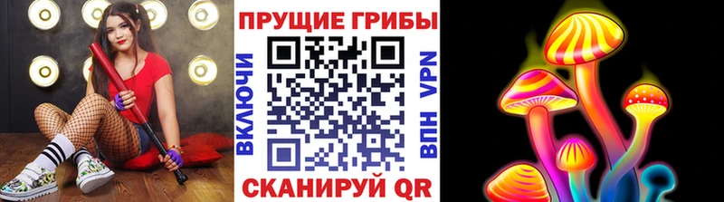 Псилоцибиновые грибы Magic Shrooms Ленинск-Кузнецкий